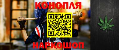 прущие грибы Пенза