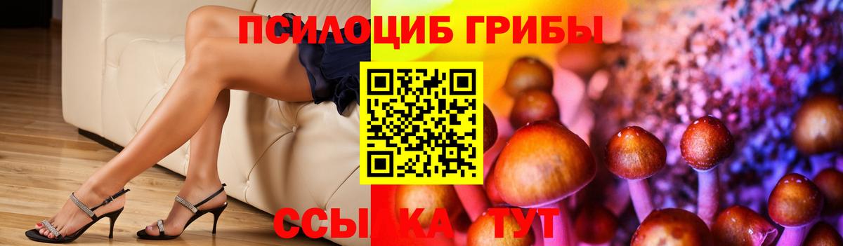 Ростов Великий  Псилоцибиновые грибы прущие грибы  Вход с VPN 